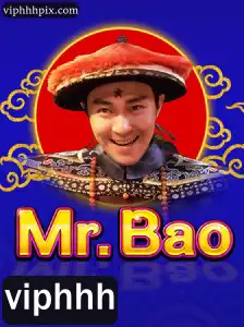 Explorando o Mundo de MrBao: Um Guia Completo para Iniciantes